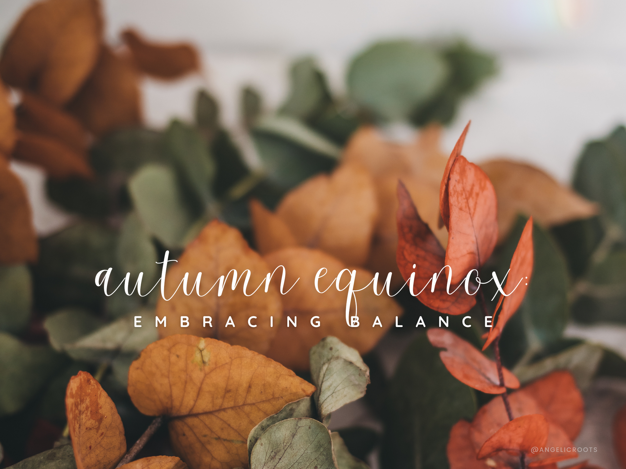 Autumn Equinox: Embracing Balance