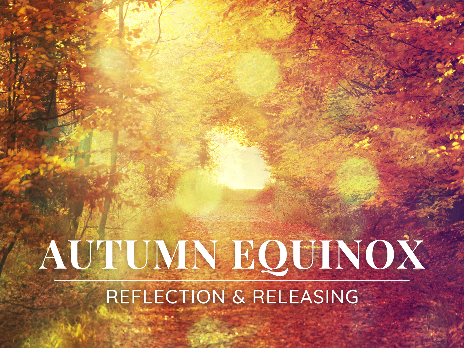 Autumn Equinox: Reflection & Releasing