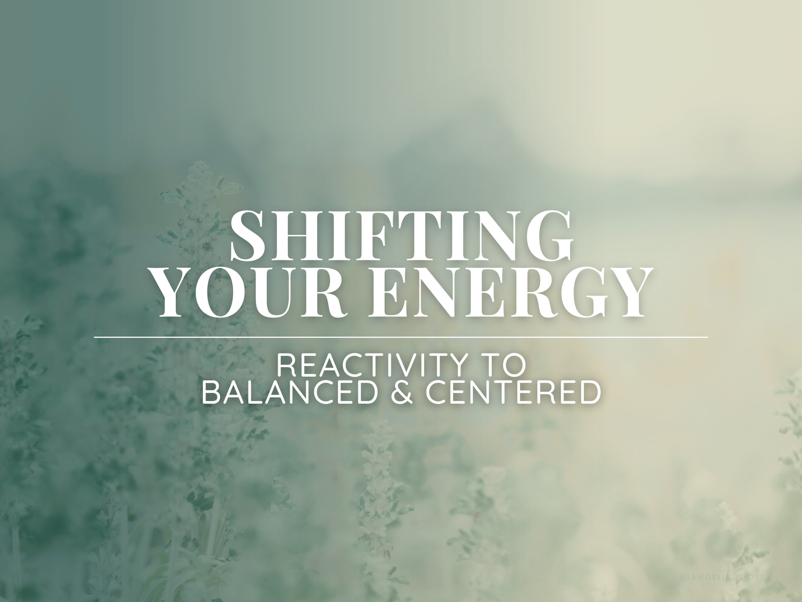 Shifting Your Energy: Reactivity to Balanced & Centered