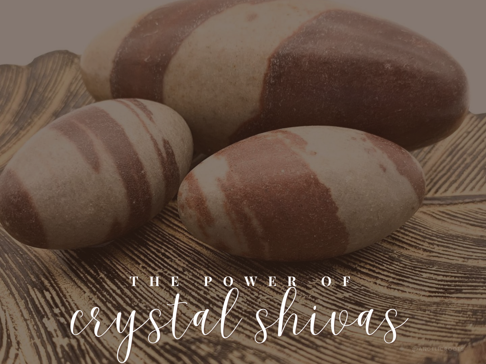 The Power of Crystal Shivas