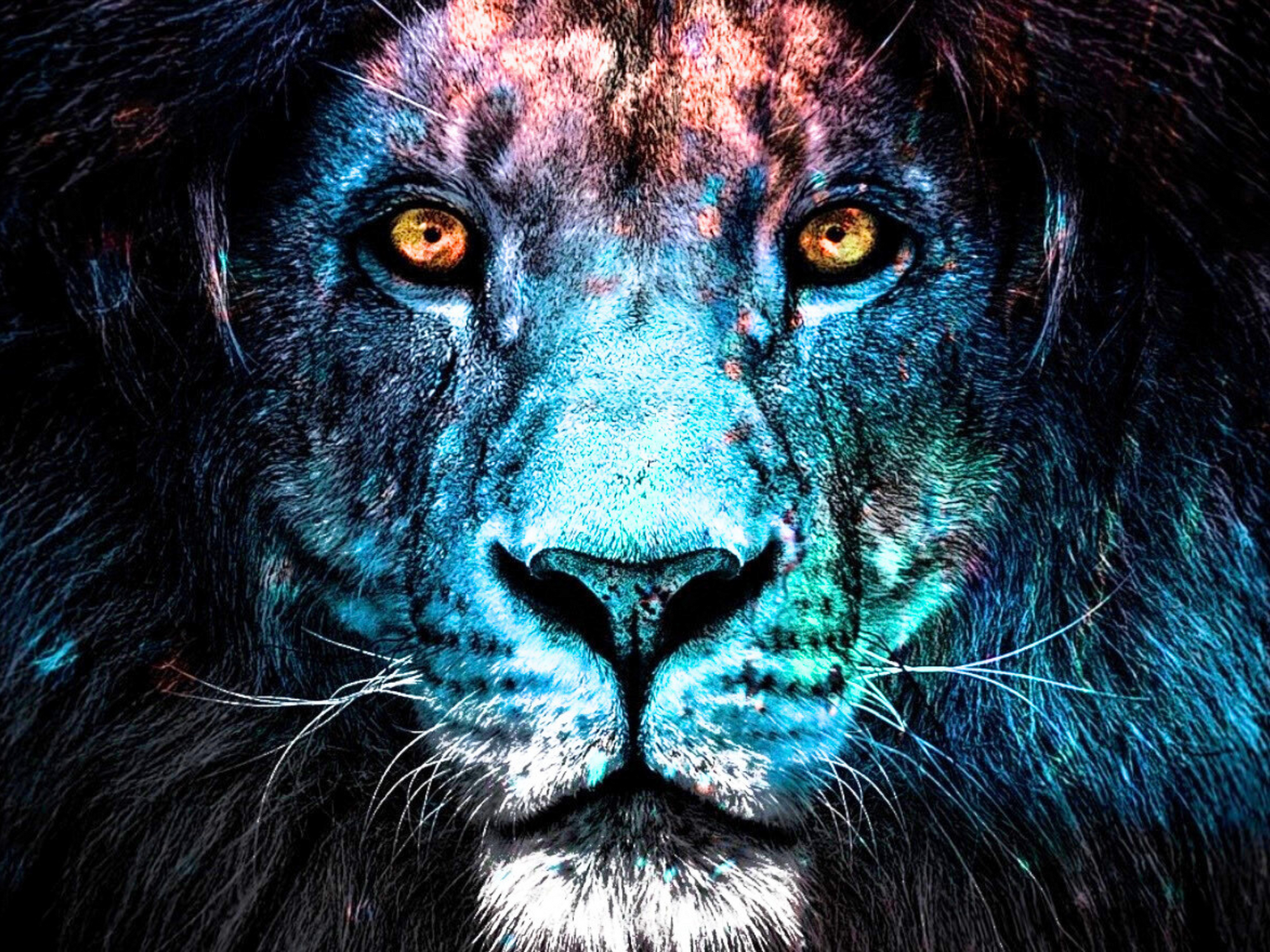 Lion's Gate Portal Activation