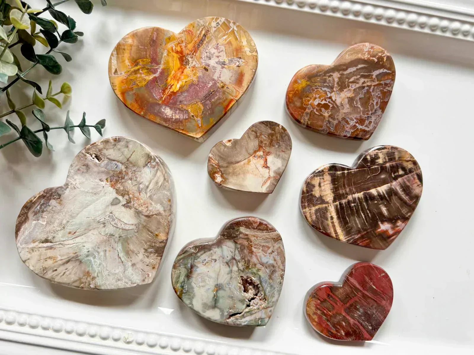Petrified Wood: Grounding & Stability