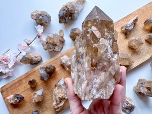 Natural Citrine Raw Points Congo || Kundalini Citrine