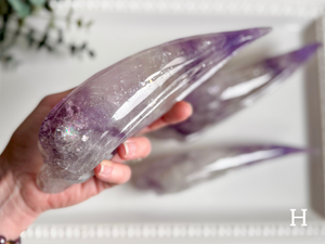 Phantom Amethyst Traveler Skull || Brazil || Pitico