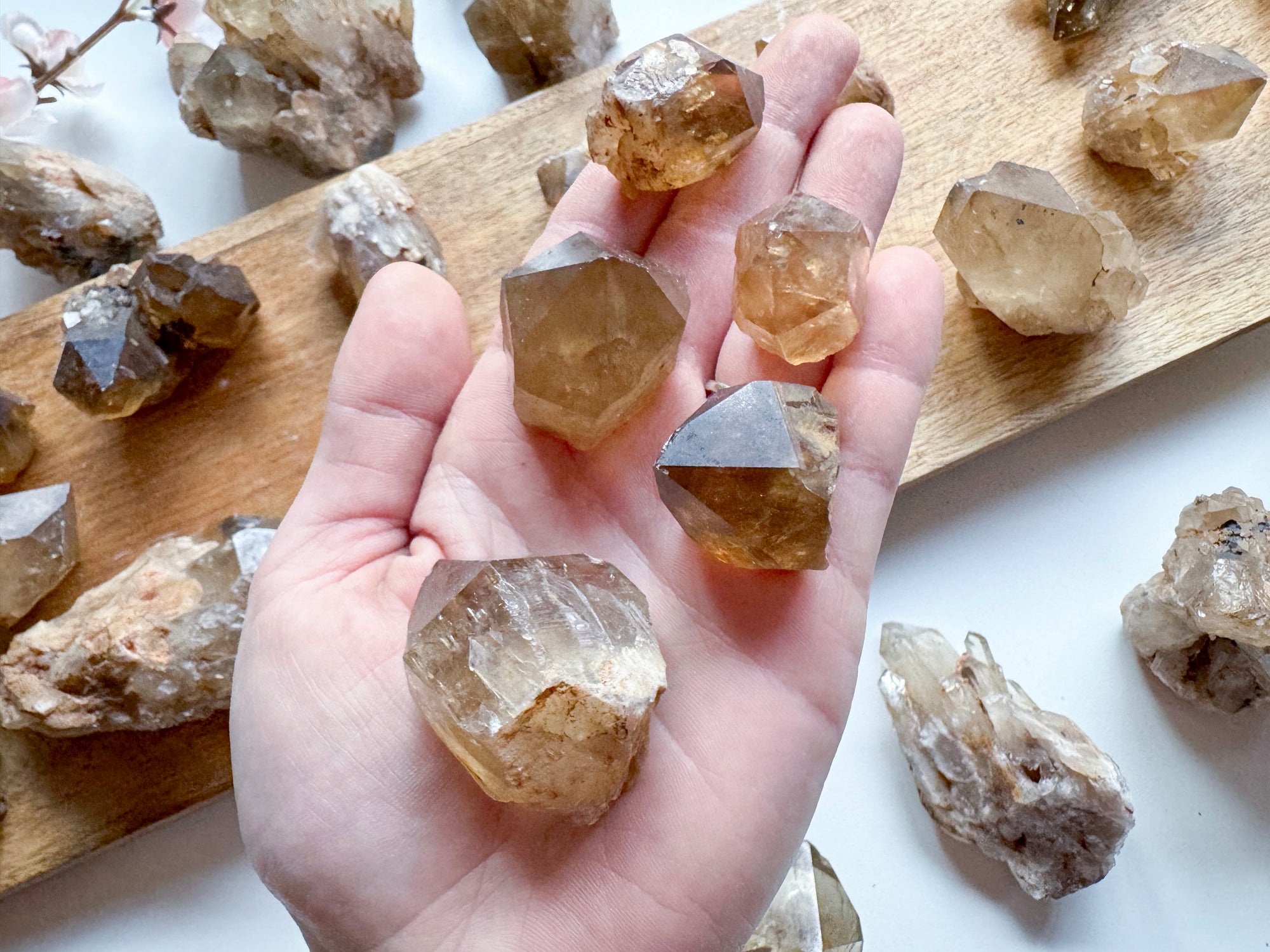 Natural Citrine Raw Points Congo || Kundalini Citrine