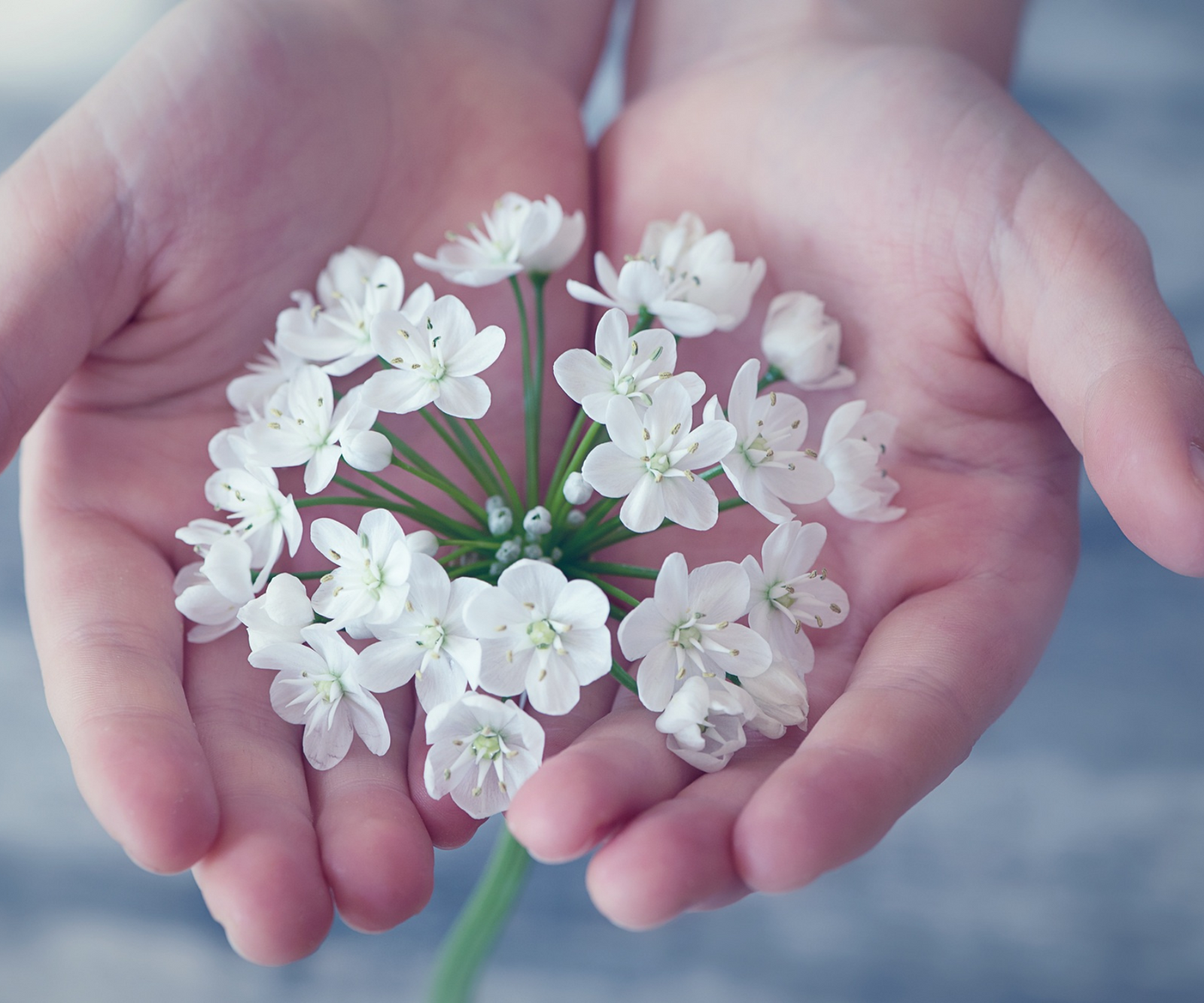 Reiki Share - Thursday, January 8 6pm-9pm