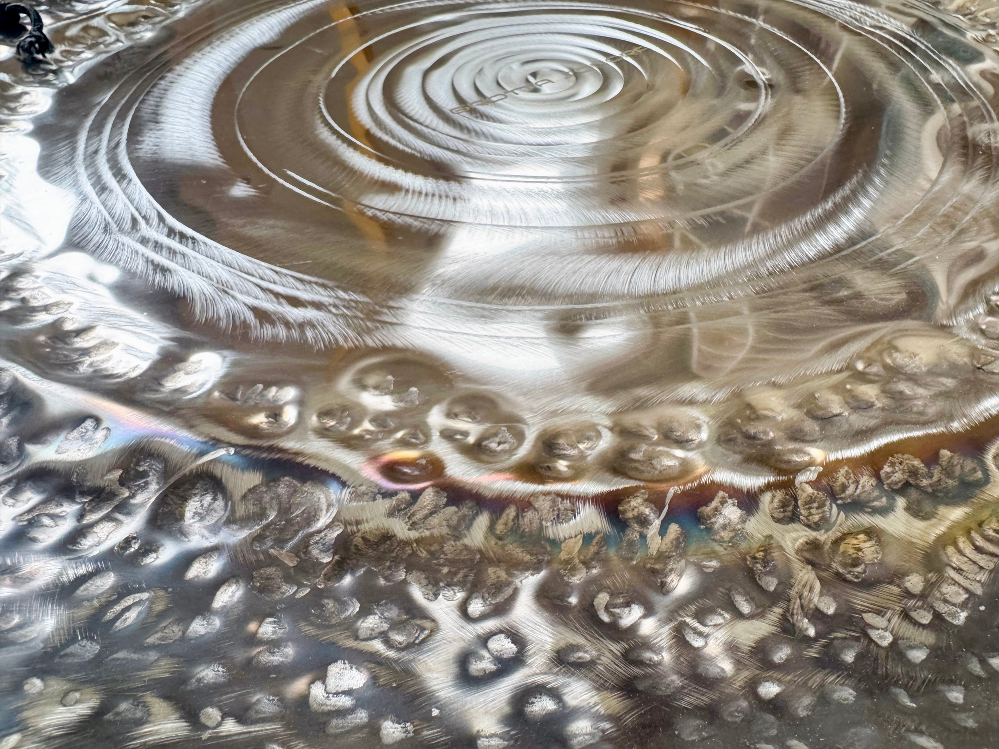 32" Grotta Sonora Silver Nickel Gong || Ocean Sunrise