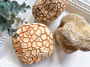 Snakeskin Agate Raw Stone