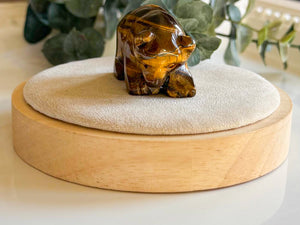 Tiger Eye Bear Carving || 1.5"