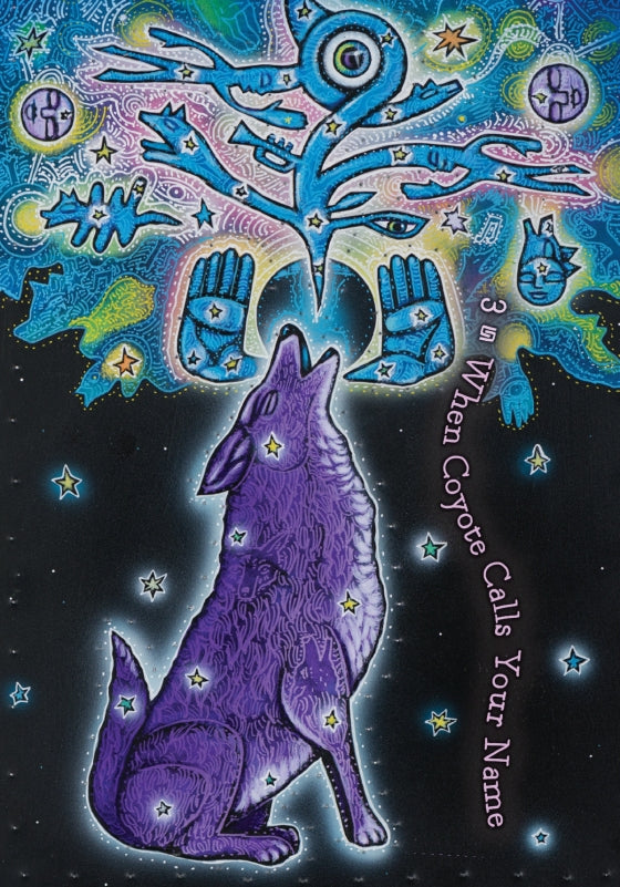 The Dream Weaver's Oracle || Colette Baron-Reid