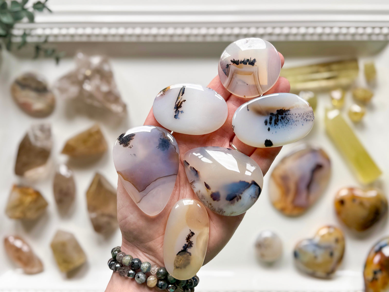 Dendritic Agate Shapes