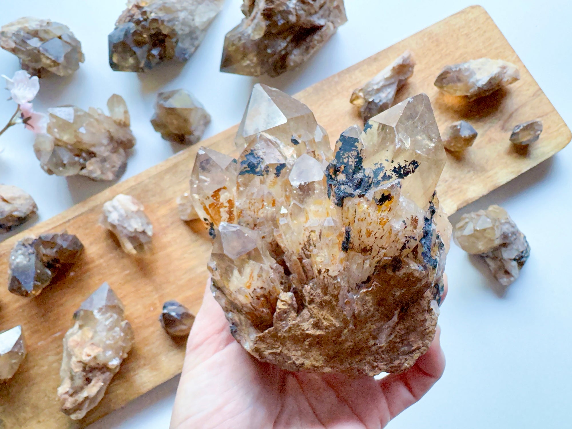 Natural Citrine Raw Points Congo || Kundalini Citrine