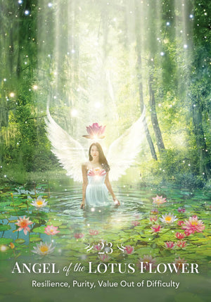 Angels of Nature Oracle: A 44-Card Deck and Guidebook || Sandra Anne Taylor