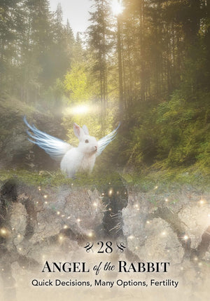 Angels of Nature Oracle: A 44-Card Deck and Guidebook || Sandra Anne Taylor