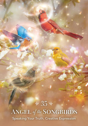 Angels of Nature Oracle: A 44-Card Deck and Guidebook || Sandra Anne Taylor