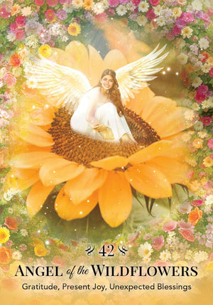 Angels of Nature Oracle: A 44-Card Deck and Guidebook || Sandra Anne Taylor