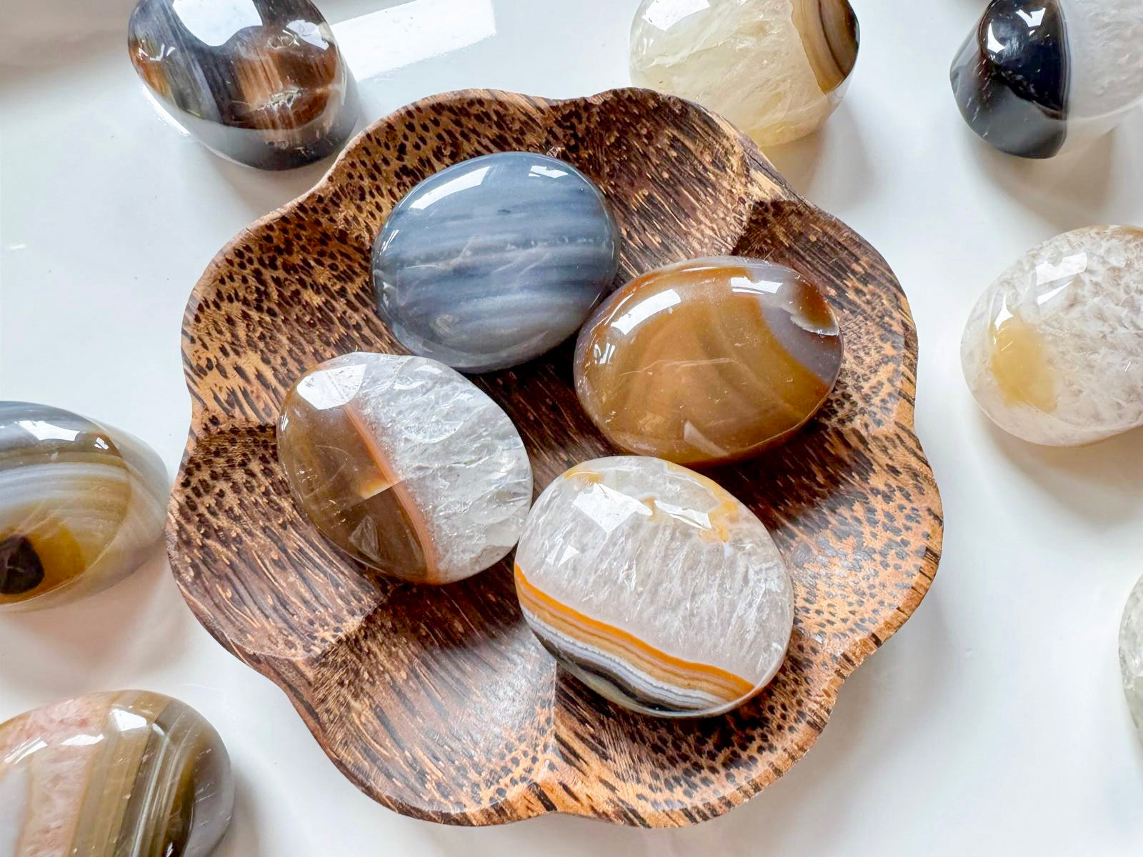 Agate Palm Stone || Brazil