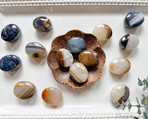 Agate Palm Stone || Brazil