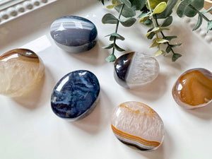 Agate Palm Stone || Brazil