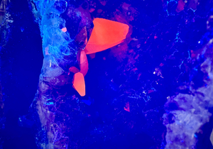 Amethyst Wings on Metal Stand || Brazil - Set A || UV Reactive!