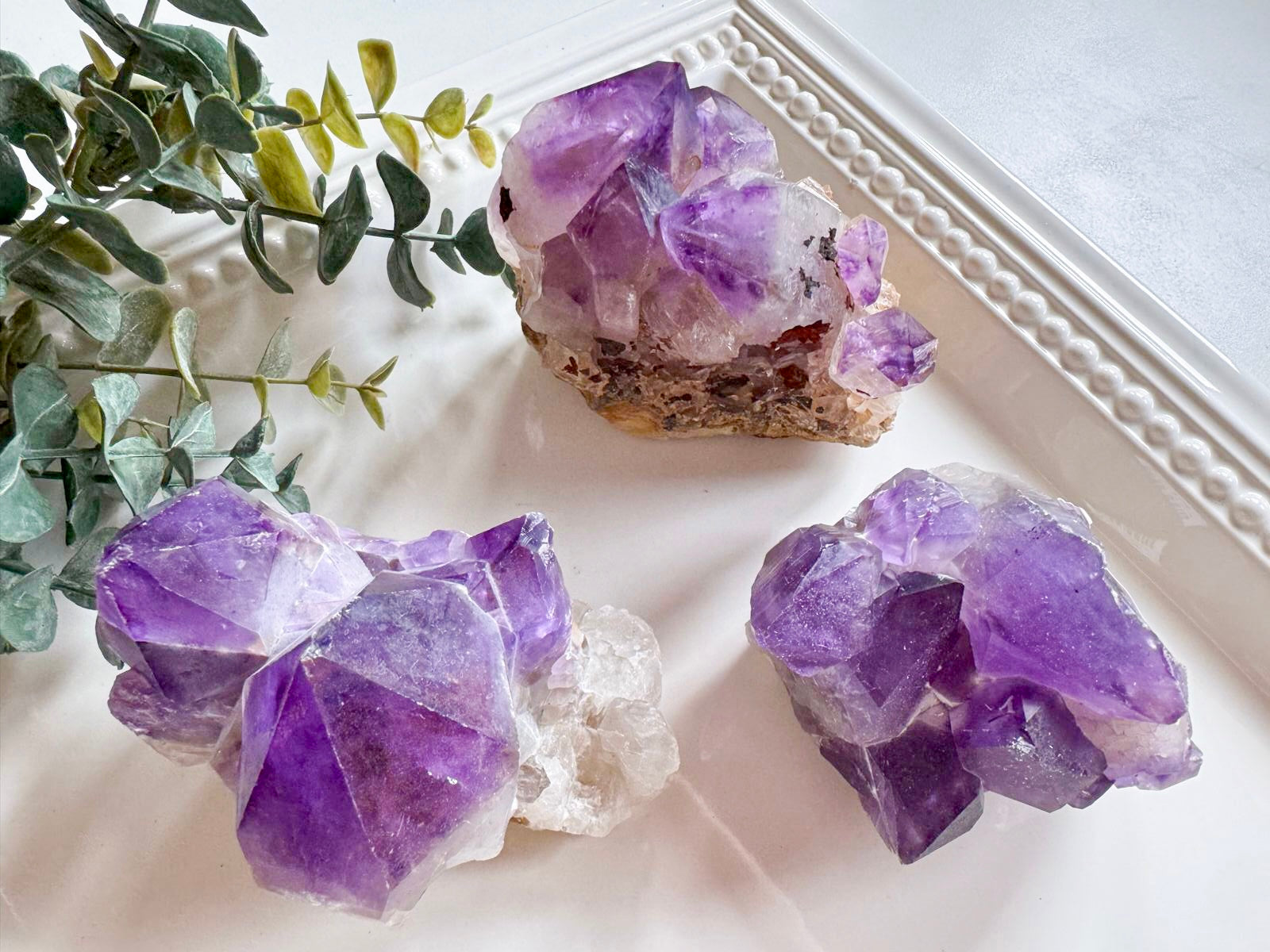 Amethyst Cluster || Large Points