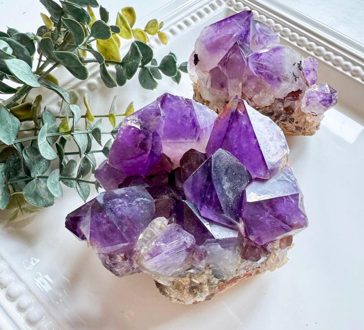 Amethyst Cluster || Large Points