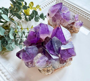Amethyst Cluster || Large Points