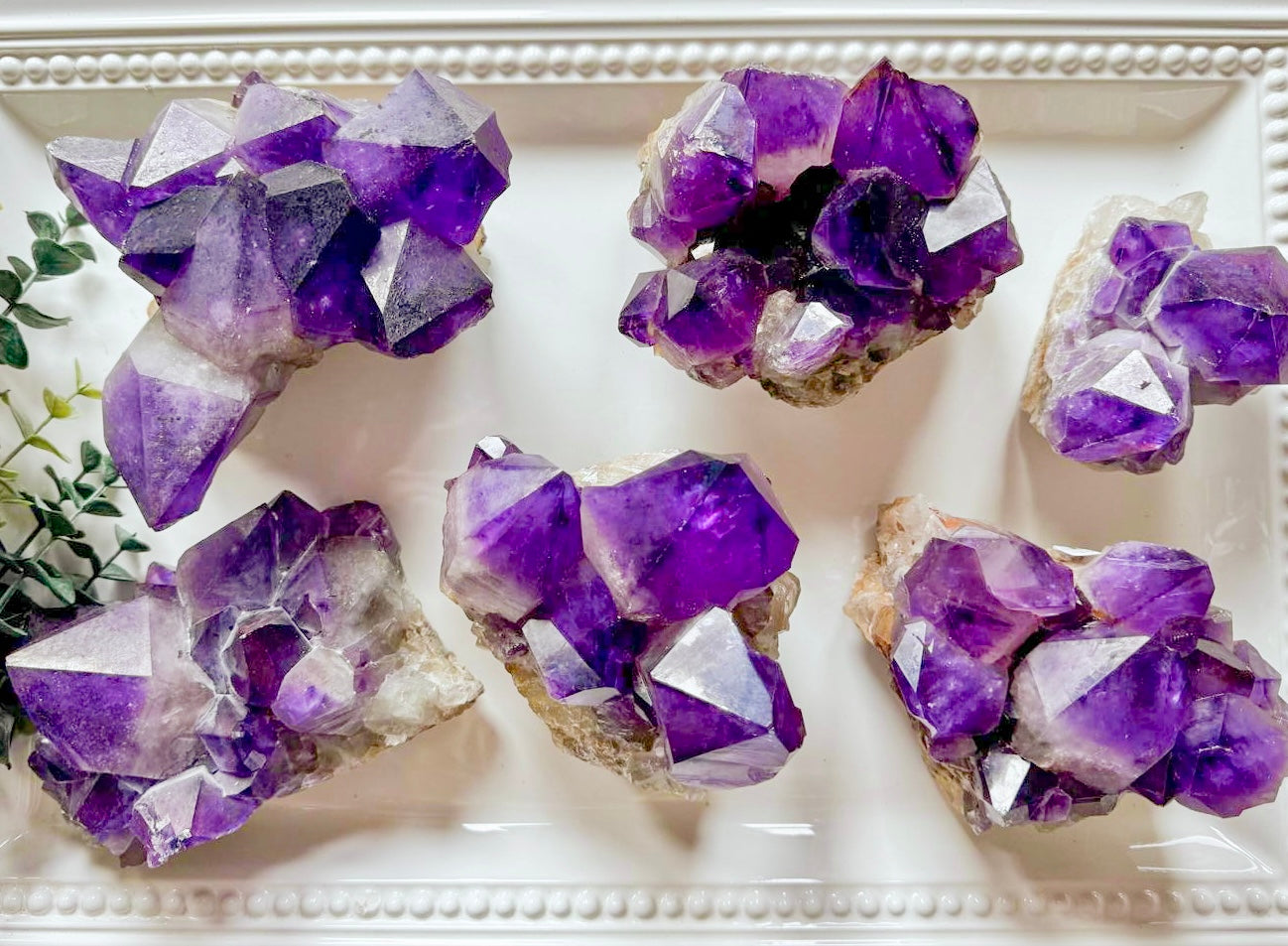 Amethyst Cluster || Large Points