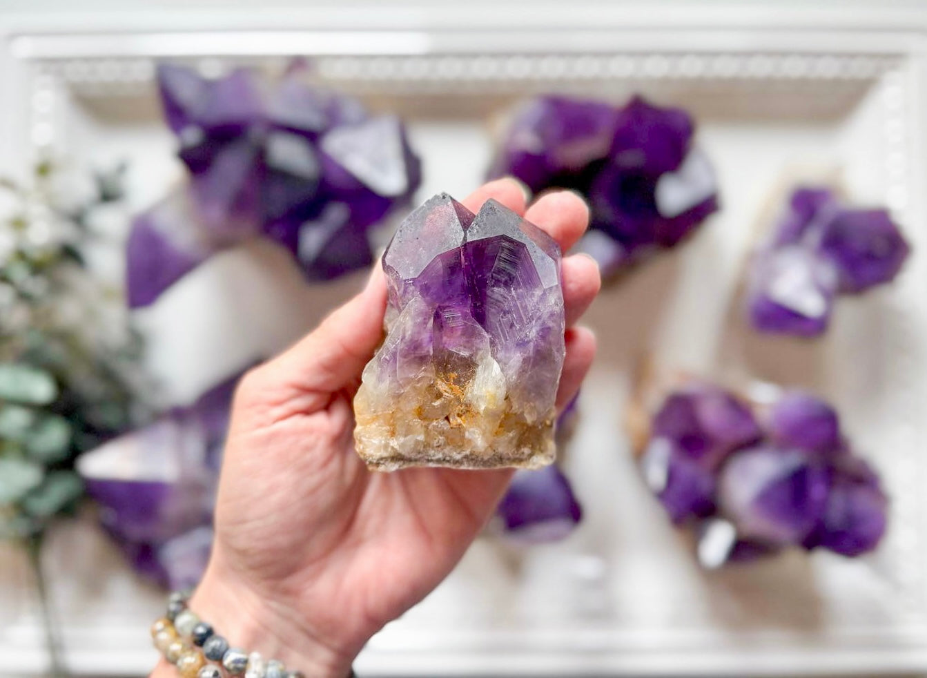 Amethyst Cluster || Large Points