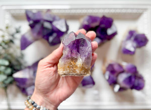 Amethyst Cluster || Large Points