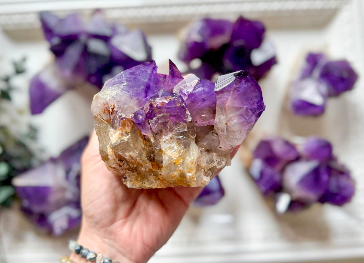 Amethyst Cluster || Large Points