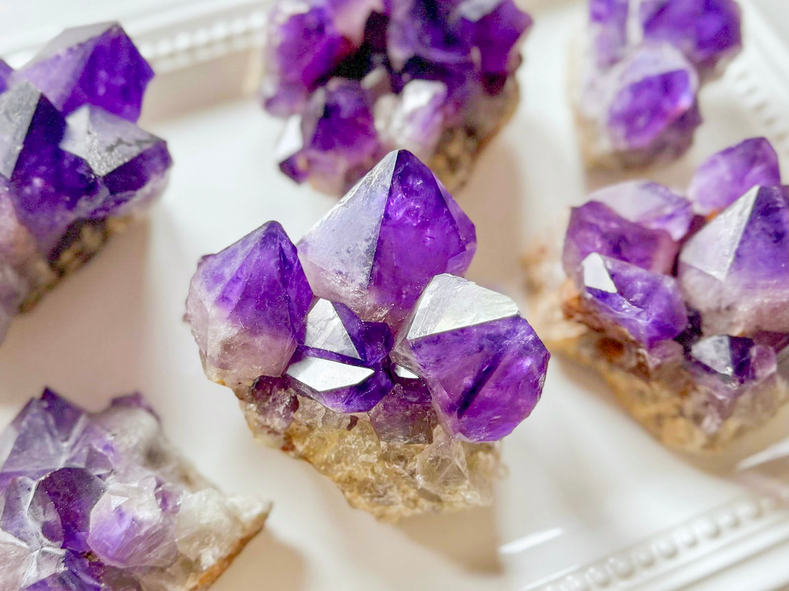 Amethyst Cluster || Large Points