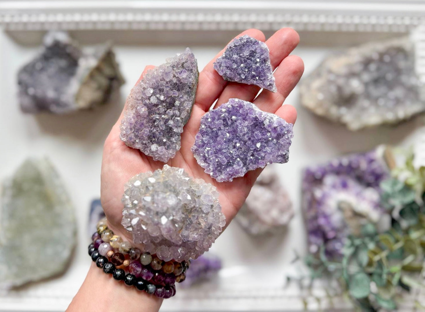 Amethyst Clusters || Assorted