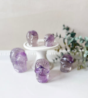 Amethyst Phantom Skull || Brazil