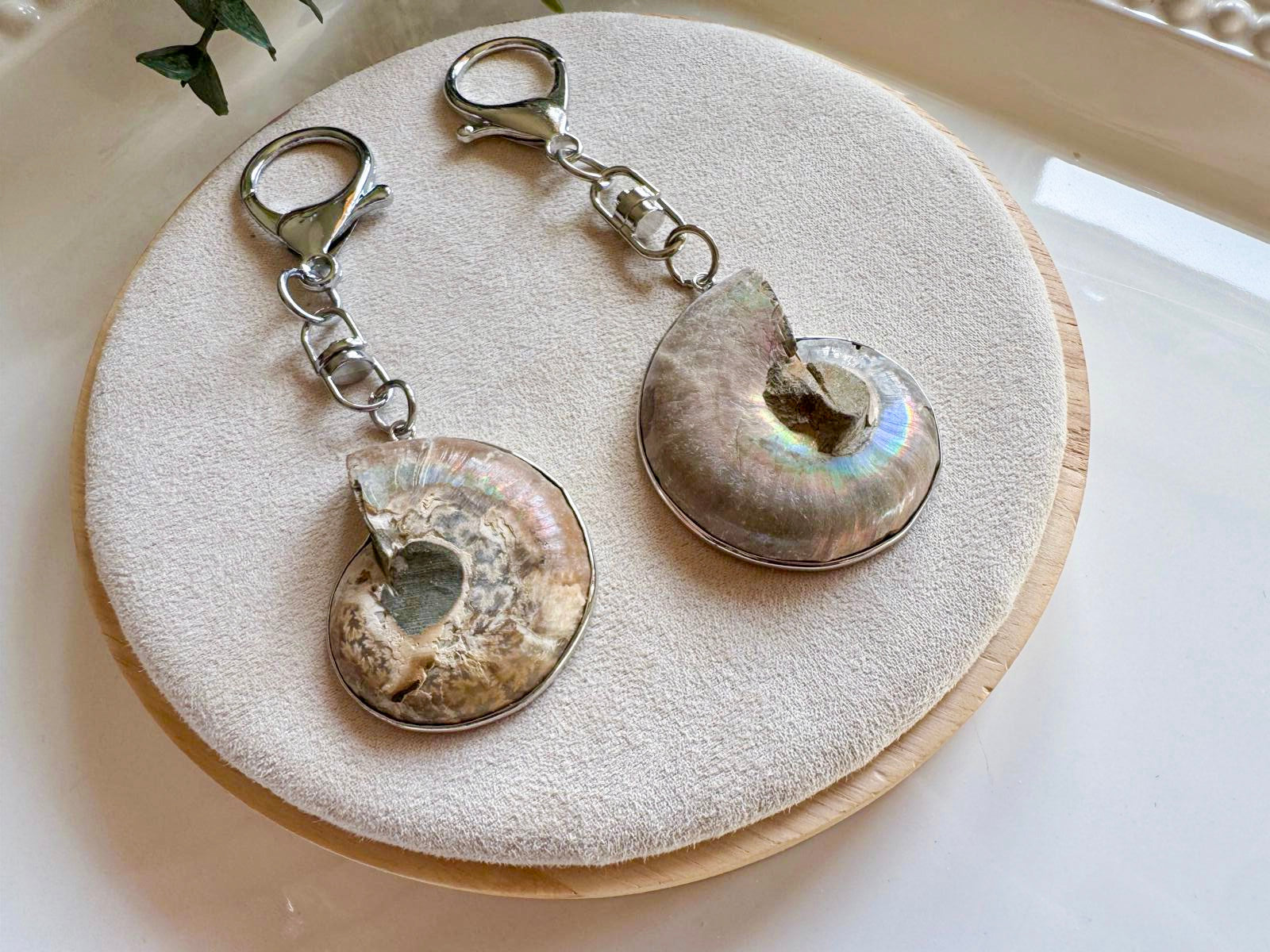 Ammonite Bag Tag