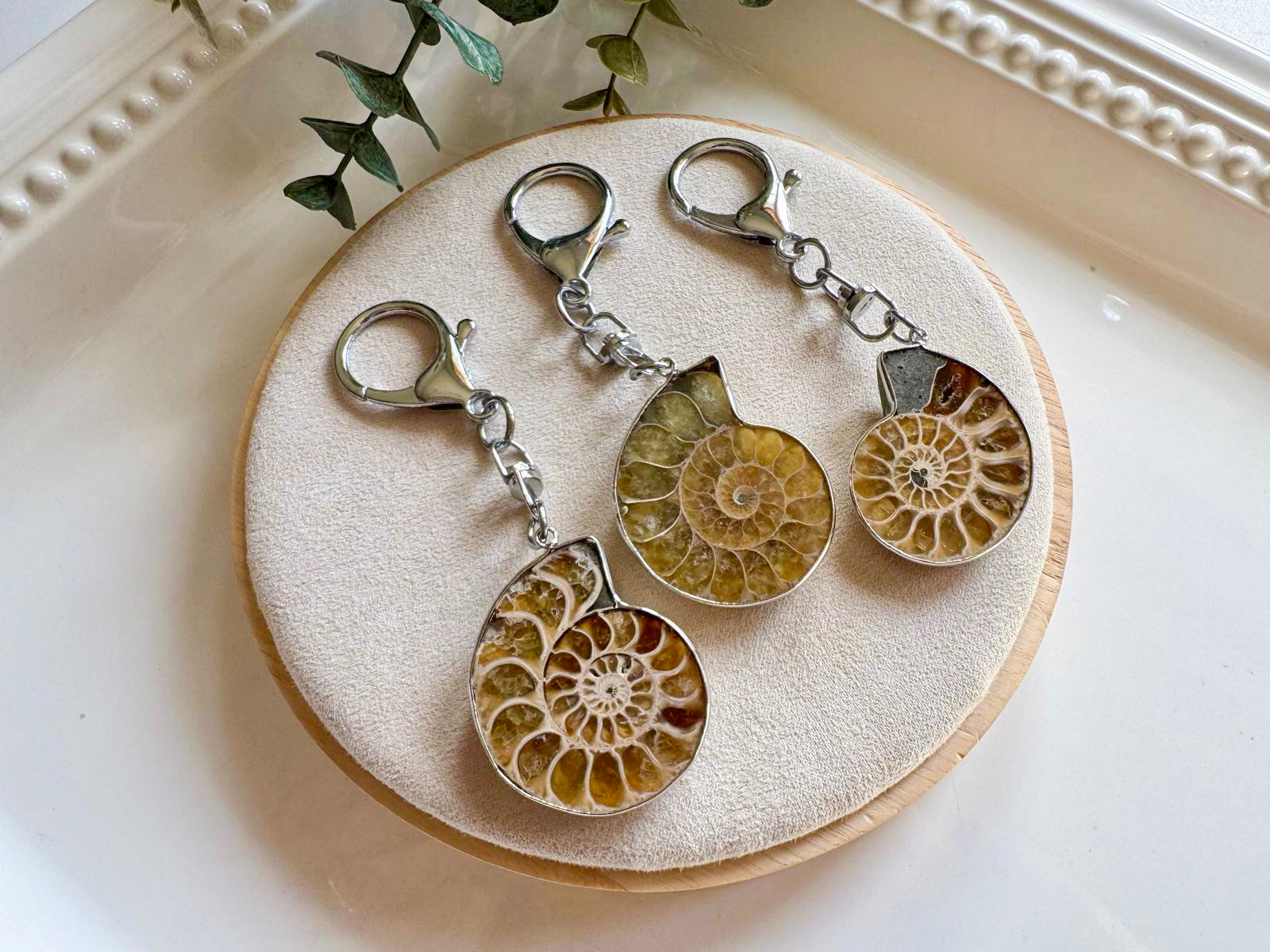 Ammonite Bag Tag