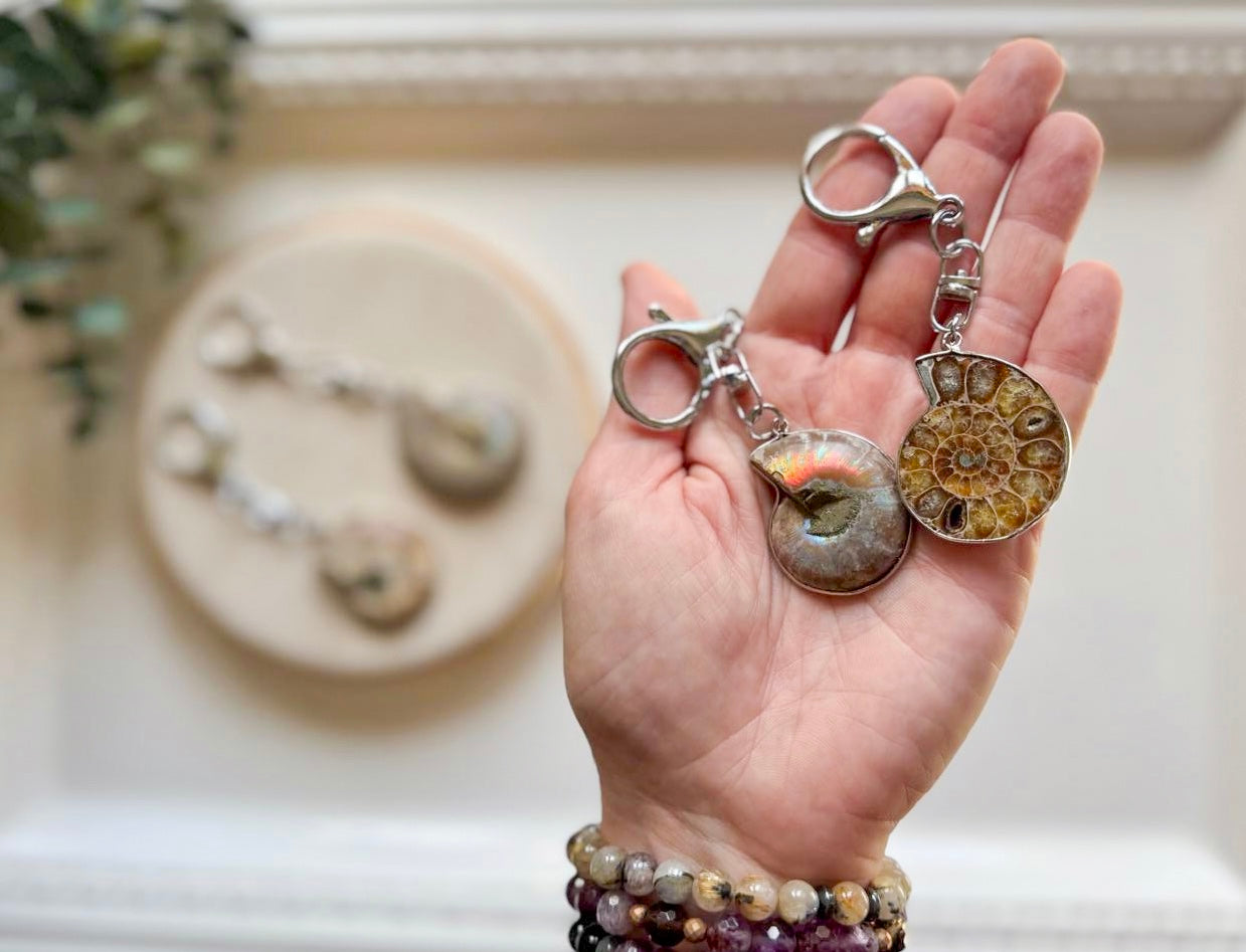 Ammonite Bag Tag