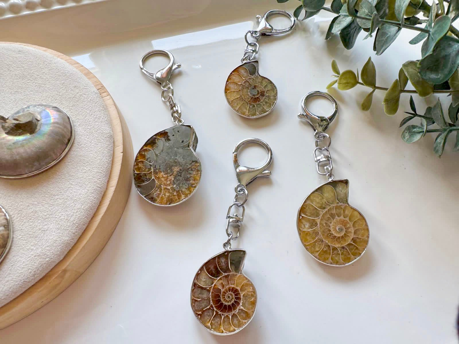 Ammonite Bag Tag