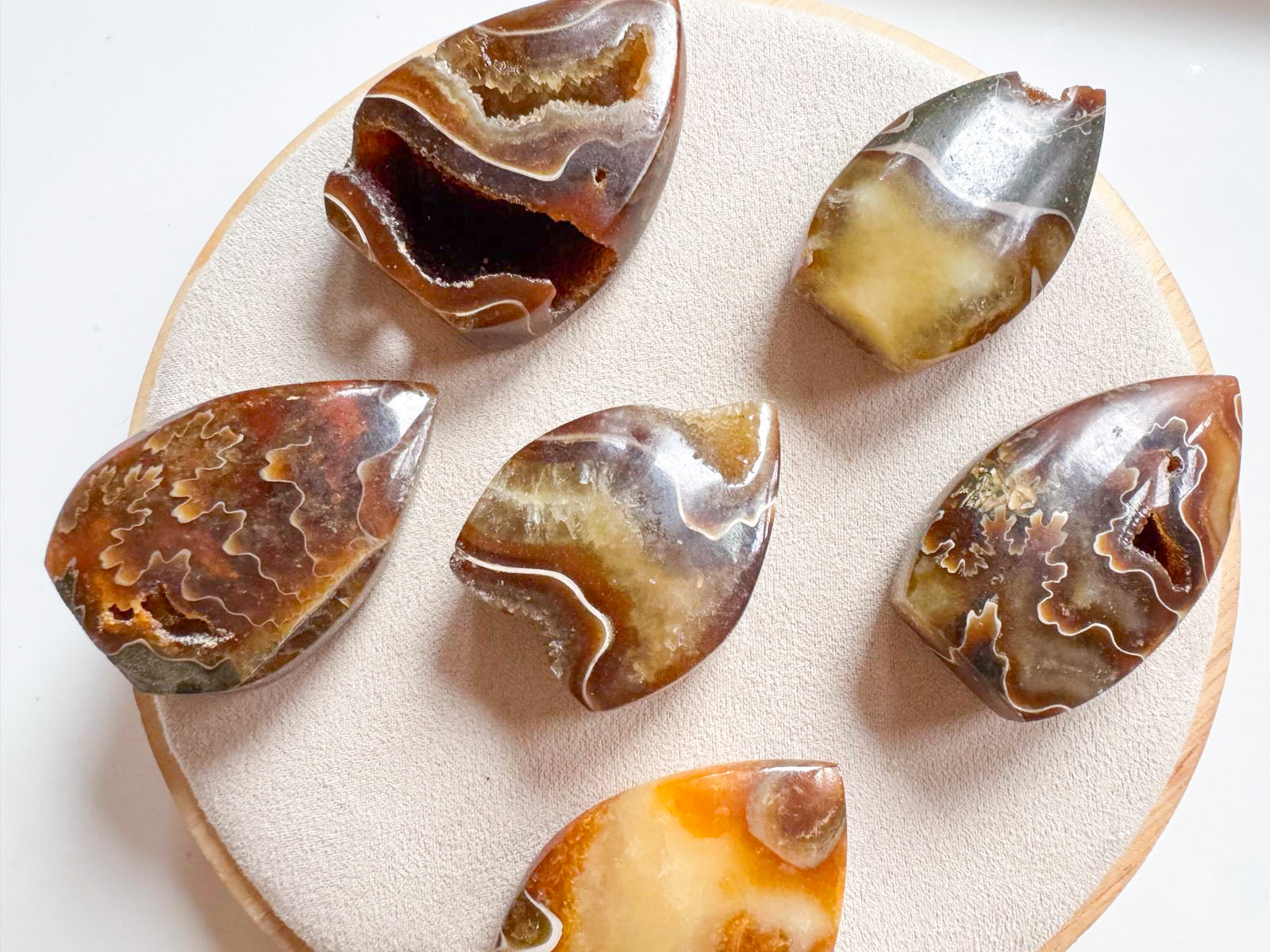 Ammonite Mini Flame || Madagascar
