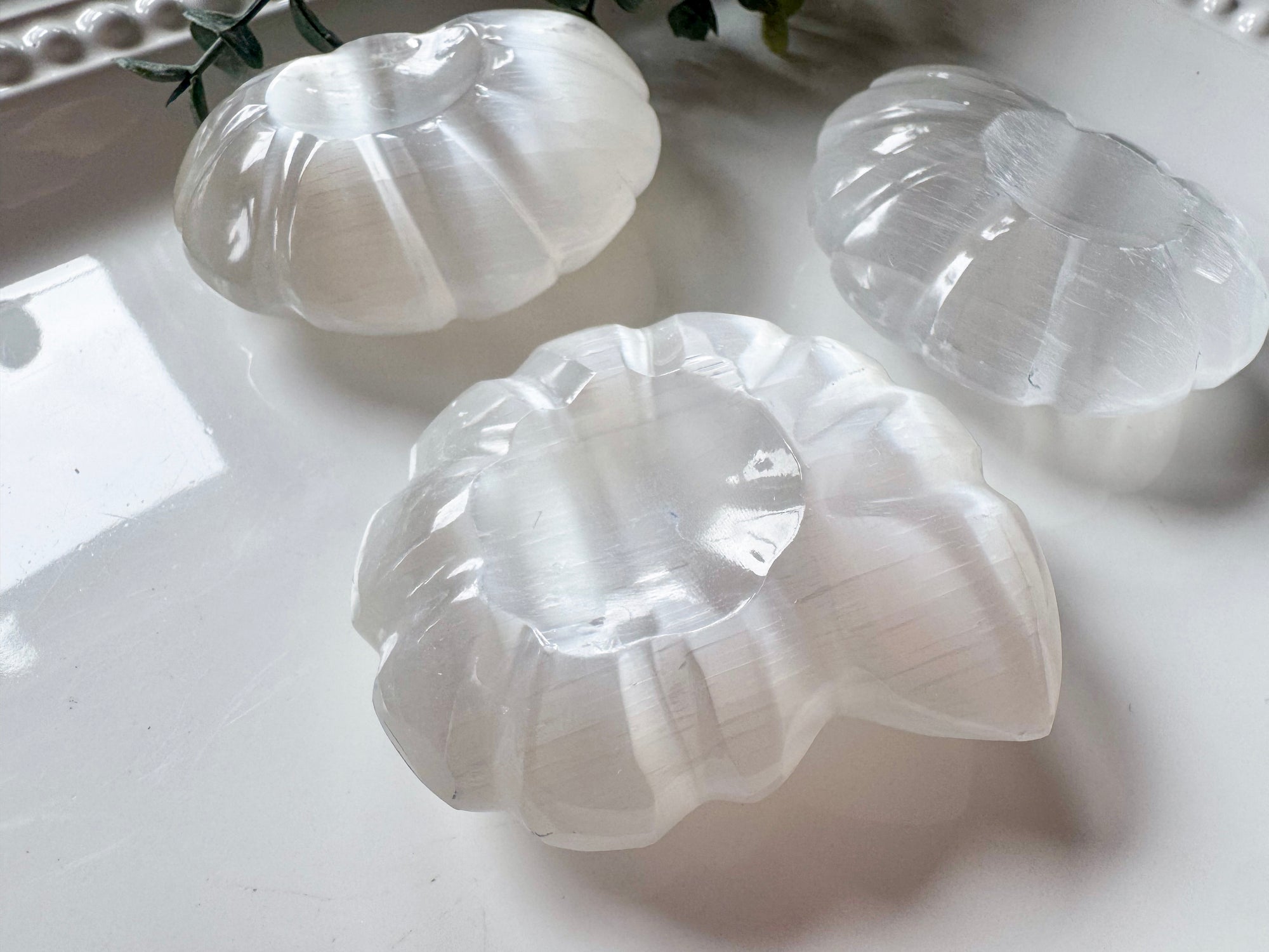 Ammonite Spiral Selenite Sphere Stand