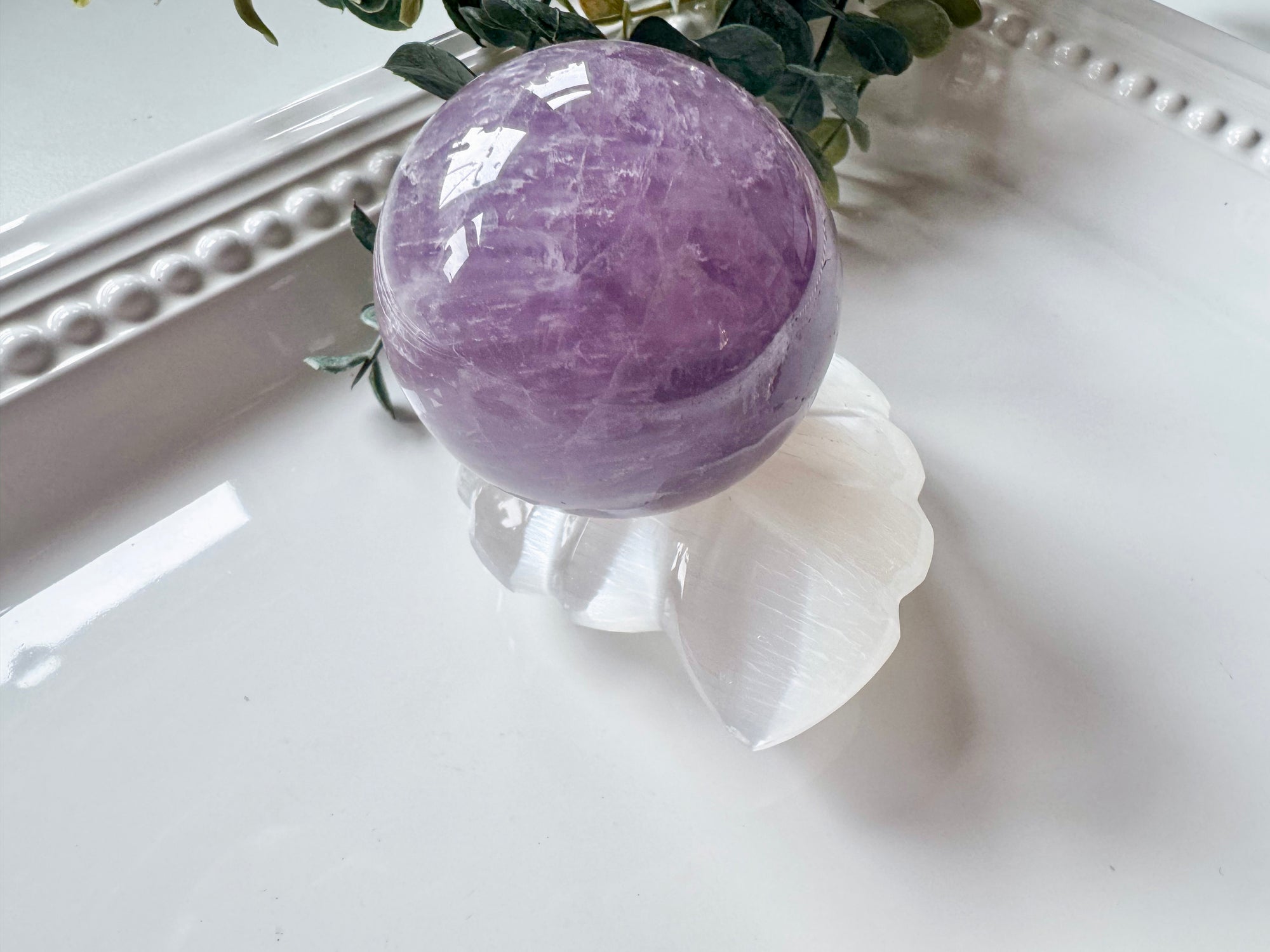 Ammonite Spiral Selenite Sphere Stand