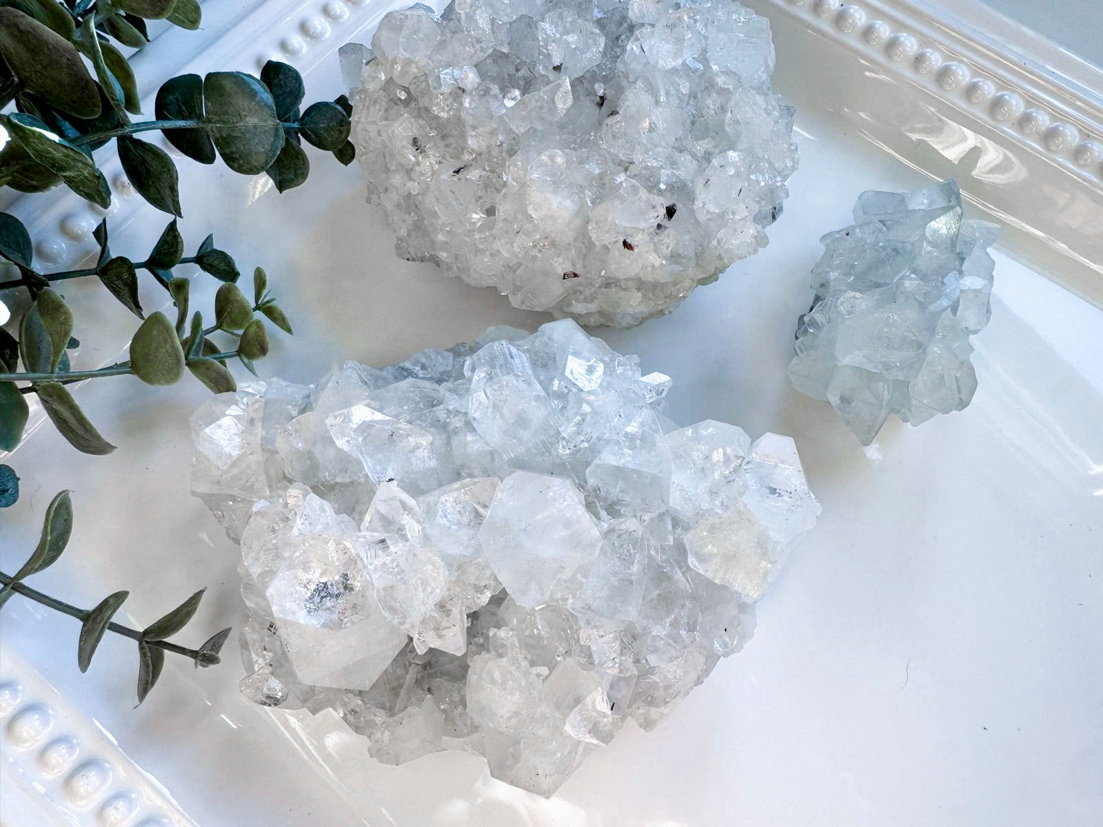 Apophyllite Cluster || India