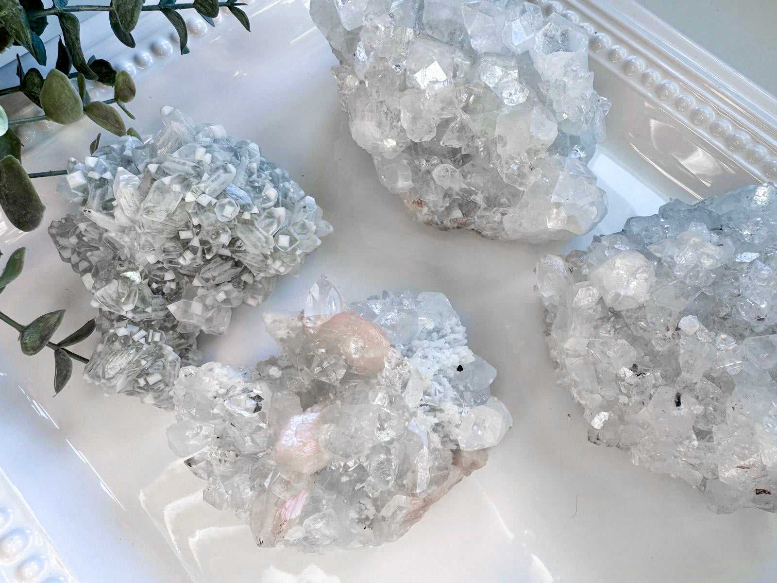 Apophyllite Cluster || India
