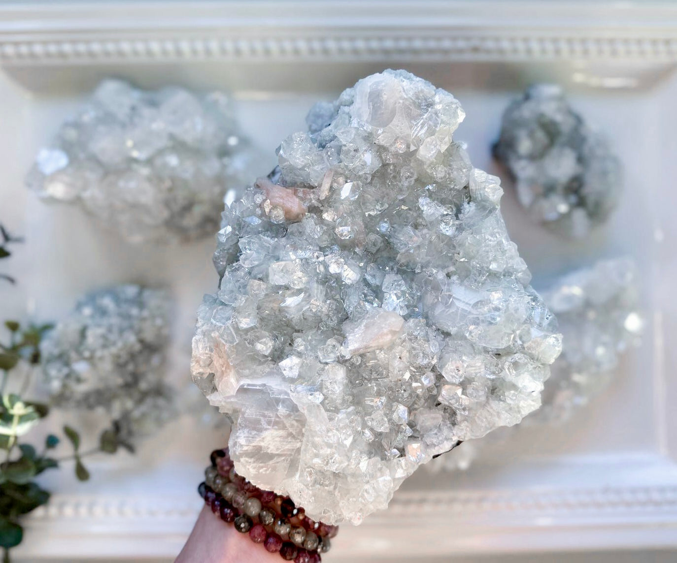 Apophyllite Cluster || India