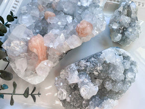 Apophyllite Cluster || India