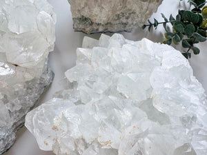 Aqua Amethyst Cluster || Brazil