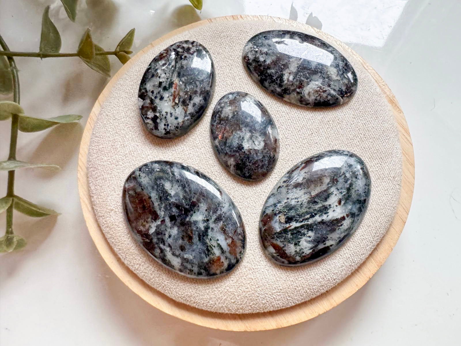 Astrophyllite Cabochon