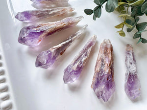 Bahia Lavender Amethyst Elestial Roots