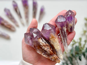Bahia Lavender Amethyst Elestial Roots