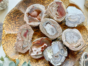 Baker Ranch Agates || New Mexico || Vintage "Chuck" Collection
